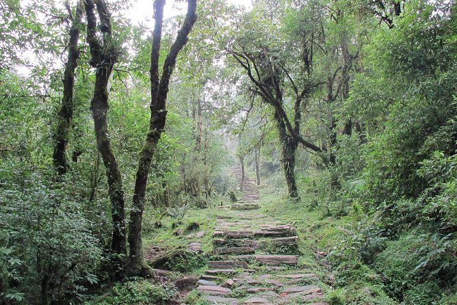 1-Day Private Dhampus Trekking Tour - The Big Advantage: A Guide Who Helps You Move Safely