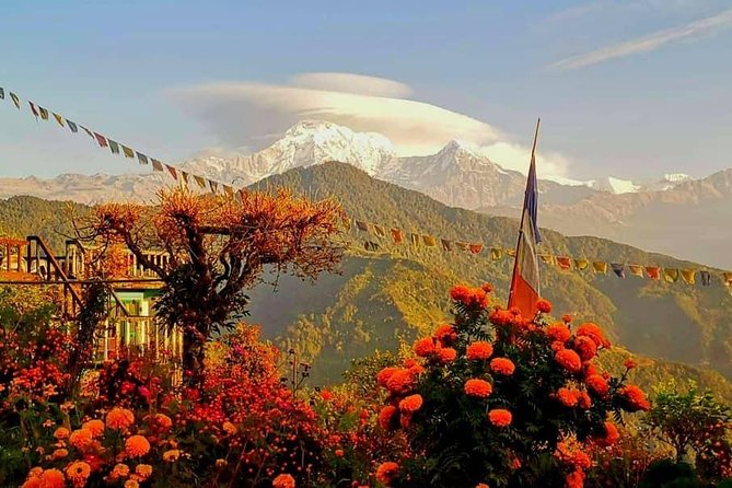 1-Day Private Dhampus Trekking Tour - Route Basics: Phedi to Dhampus, Then Kande Back