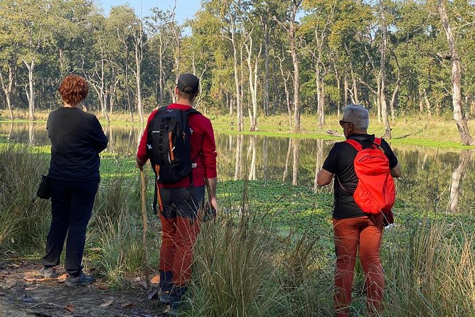 1 Night 2 Days Chitwan Jungle Safari Tour from Kathmandu - Day 2 Morning Jeep Safari: Your Main Wildlife Time