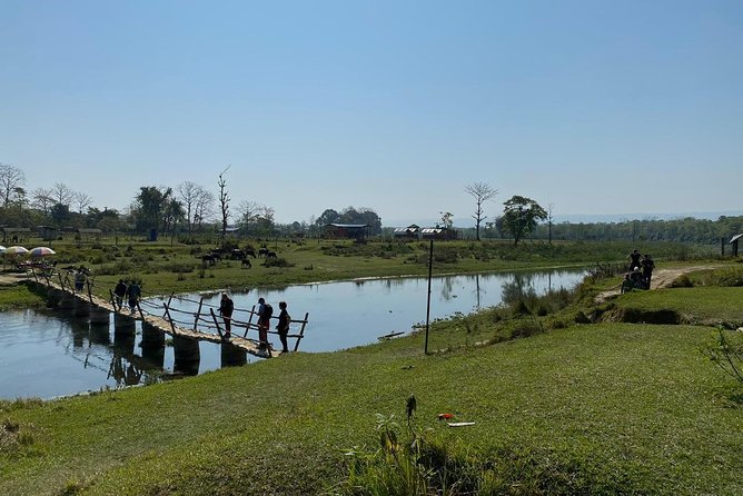 1 Night 2 Days Chitwan Jungle Safari Tour from Kathmandu - Food and Comfort: Dinner, Lunch, Breakfast, and Resort Vibes