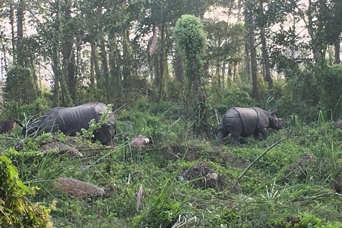 1 Night 2 Days Chitwan Jungle Safari Tour from Kathmandu - The 6:30 am Kathmandu Pickup and Bus Ride South