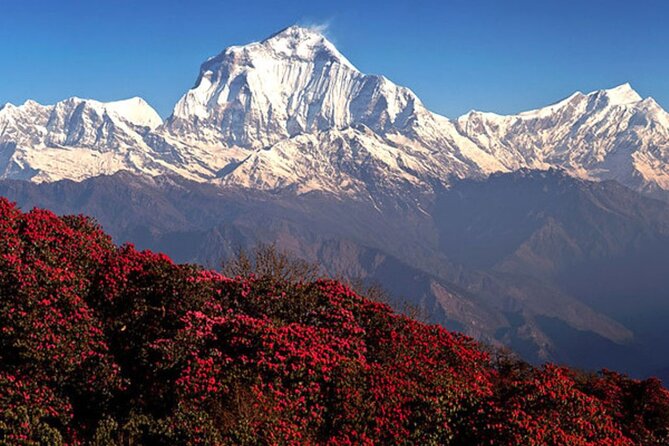 10 Days Private Guided Annapurna Basecamp Trek via Poon Hill - Why Poon Hill and Annapurna Base Camp make a great combo