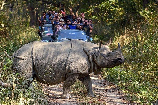 10 days Special Nepal Tour Package - Hotels, Food, and What You’re Really Buying