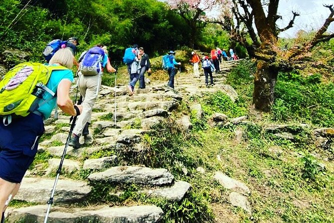 11-Day Hike Tour to Annapurna Base Camp Bliss in Kathmandu - From Thamel to the first mountain day: Kathmandu and Pokhara setup