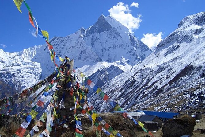 11-Day Hike Tour to Annapurna Base Camp Bliss in Kathmandu - Pokhara recovery: Devi’s Fall, Peace Stupa, and Phewa Lake time