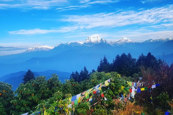 11-Day Hike Tour to Annapurna Base Camp Bliss in Kathmandu - Poon Hill sunrise views, then downhill switch to Tadapani