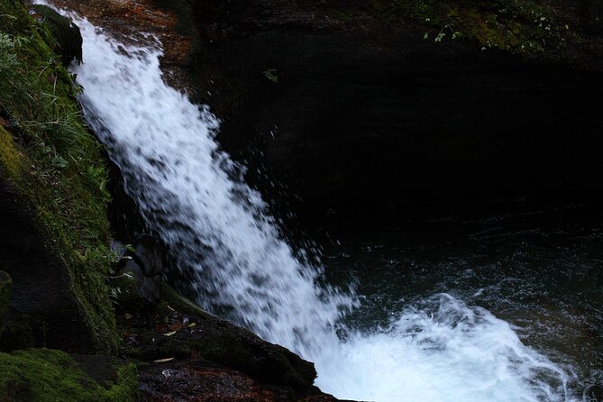 12-Day Nepal Adventure Trek with Jungle Safari - Comfort and pacing: what your body should expect