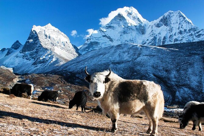 12 Days Everest Base Camp Trek - Key things I’d watch for on this Everest Base Camp trek