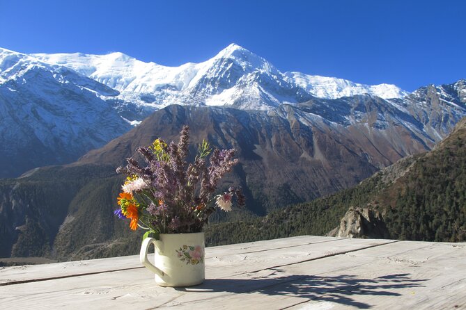 15-Day Private Annapurna Circuit Trek from Kathmandu - Jomsom and the Kaligandaki descent: optional routes and a hot spring reset