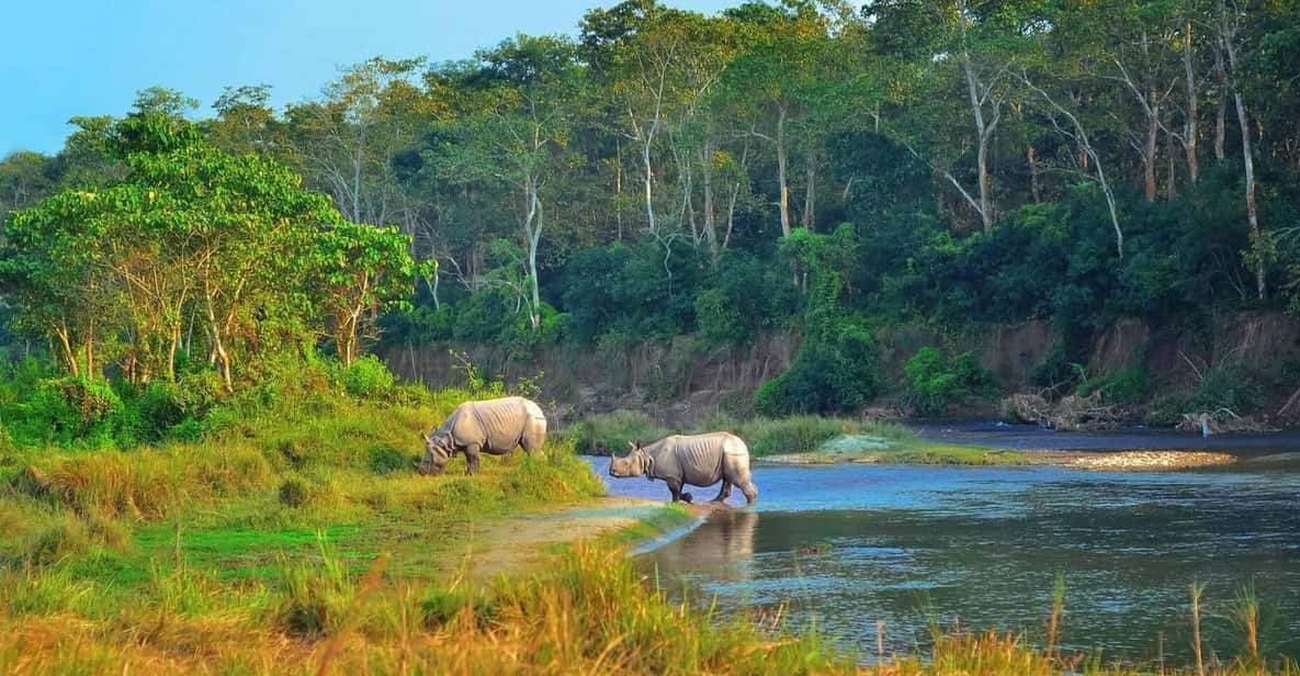 2 Days Chitwan Jungle Safari Tour from Pokhara/Kathmandu - Key highlights you’ll feel fast