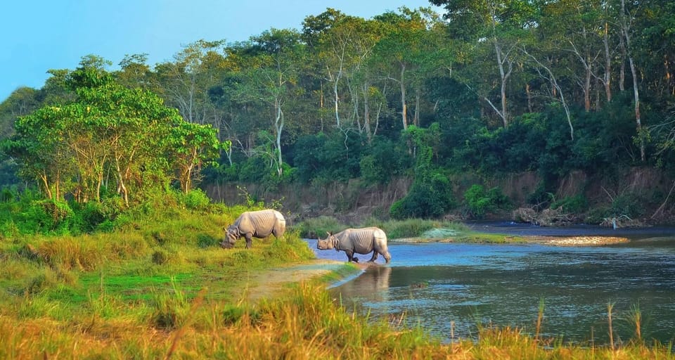 2 Days Chitwan Jungle Safari Tour from Pokhara/Kathmandu - Pickup from Pokhara or Kathmandu: fast start, fewer headaches