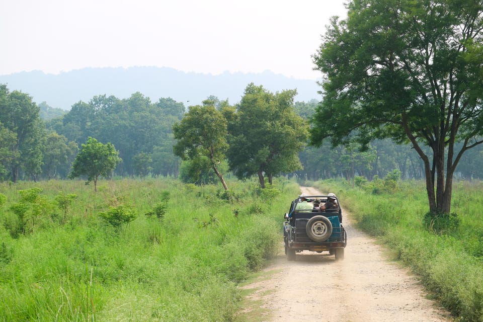 2 Days Chitwan Jungle Safari Tour from Pokhara/Kathmandu - Day 2: early jungle walk and a calmer kind of animal spotting