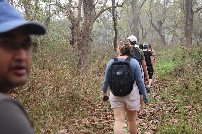 3-Day Chitwan National Park Jungle Safari Tour Package with Pick Up - Why a 3-day Chitwan group safari feels practical