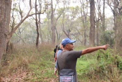 3-Day Chitwan National Park Jungle Safari Tour Package with Pick Up - Price and logistics: what your $180 actually covers