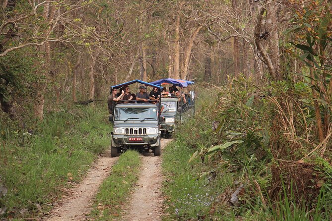 3-Day Chitwan National Park Jungle Safari Tour Package with Pick Up - Day 2: early canoe ride on the Rapti River, birding, and crocodile chances
