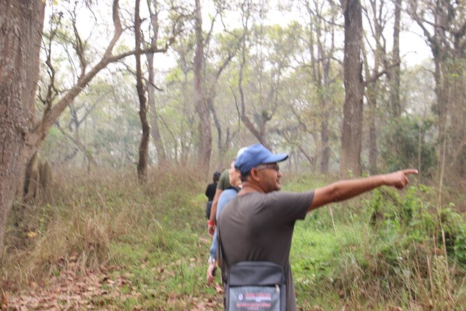 3-Day Chitwan National Park Jungle Safari Tour Package with Pick Up - Price and logistics: what your $180 actually covers