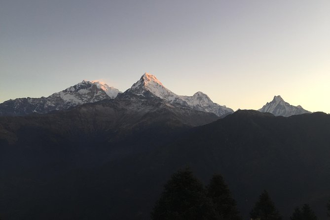 3-Day Poon Hill Trek from Pokhara. - Private transportation and pickup: why it matters for day 1
