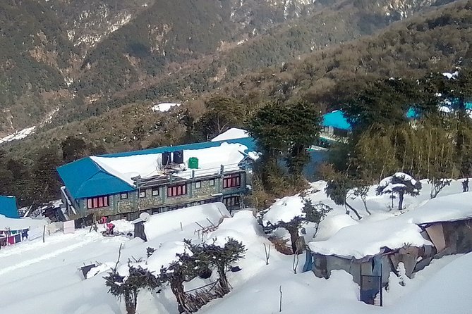 3 Days 2 Nights Poon Hill Trekking - Pokhara to the Trail: Pickup, Private Transport, and First-Day Stress Control