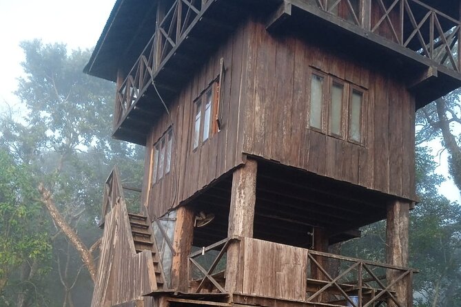 3 Nights 4 Days Chitwan National Park with Tower Night Stay - Key highlights worth knowing