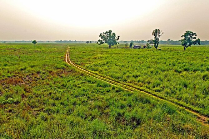 3 Nights 4 Days Chitwan National Park with Tower Night Stay - First impressions: where Chitwan makes sense
