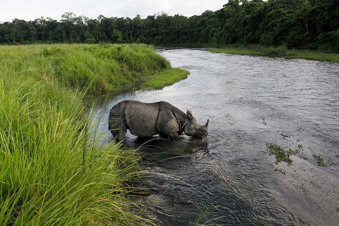 3 Nights 4 Days Chitwan National Park with Tower Night Stay - Day 3: Tower-day light breakfast, jungle walk return, and another park day
