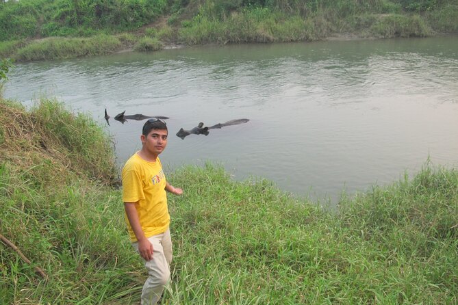 3 Nights 4 Days Chitwan National Park with Tower Night Stay - The tower night stay: the main event