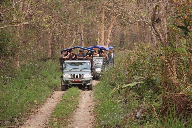 3 Nights 4 Days Chitwan National Park with Tower Night Stay - Getting around: buses, transfers, and how to stay sane