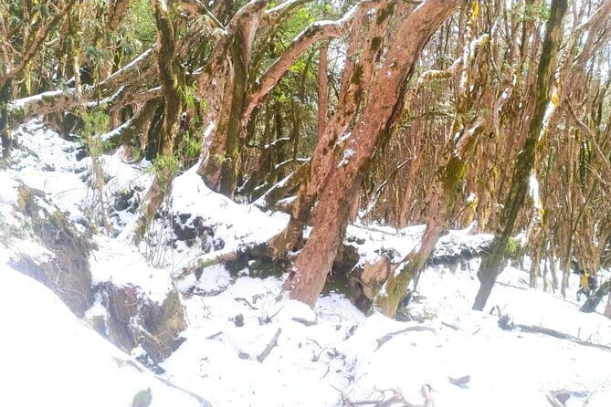 4 Day Mardi Himal Base Camp Trek from Pokhara - Why this 4-day Mardi Himal trek starts strong from Pokhara