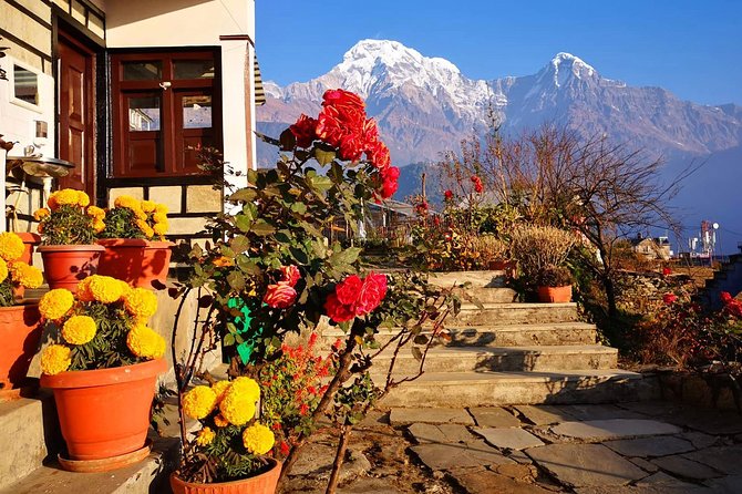 4-Day Private Poon Hill Trekking Tour - Pacing and Practical Expectations on a Private Poon Hill Tour