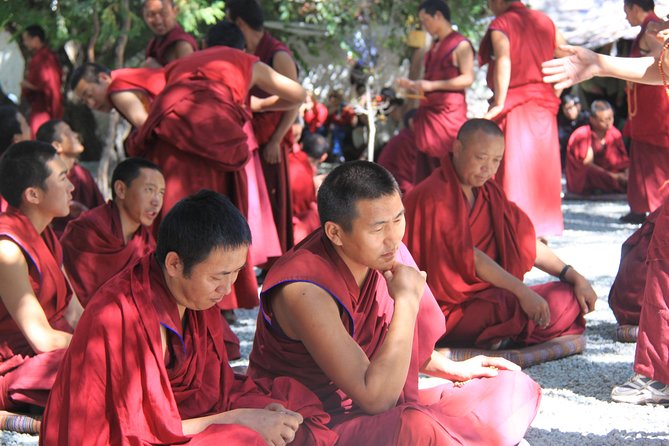 4 Days Lhasa Impression Small Group Tour - Getting oriented fast: pickup, your downtown base, and the small-group rhythm