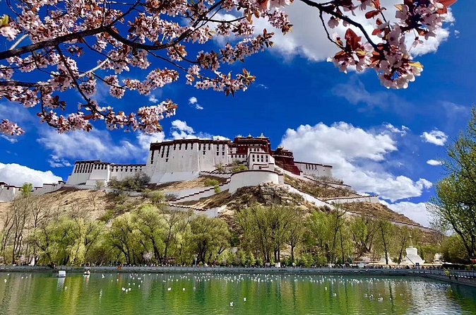 4 Days Lhasa Impression Small Group Tour - The Dadong Village detour: a slower rural interlude near Lhasa