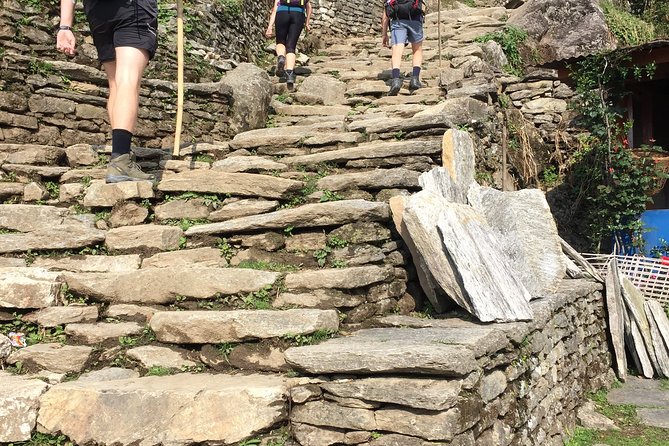 4 Days Poon Hill Trek from Pokhara - Walking Days 1–4: Ulleri, Ghorepani, Poon Hill, Ghandruk