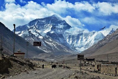 8 Days Lhasa Gyantse Shigatse Mt Everest Group Tour - Day 3: Potala Palace, Jokhang Temple, and Barkhor Street
