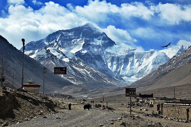 8 Days Lhasa Gyantse Shigatse Mt Everest Group Tour - Day 3: Potala Palace, Jokhang Temple, and Barkhor Street