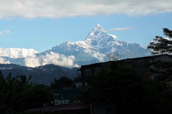 8 Days Tour in Nepal (3 Star Accommodation) - Chitwan Safari Days: Bird Watching, Jungle Drives, and Wildlife You Can Actually See