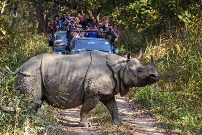 8 Days Tour in Nepal (4 Star Accommodation) - Kathmandu Valley in One Tight Plan: Boudhanath, Patan, Pashupatinath, Swayambhunath
