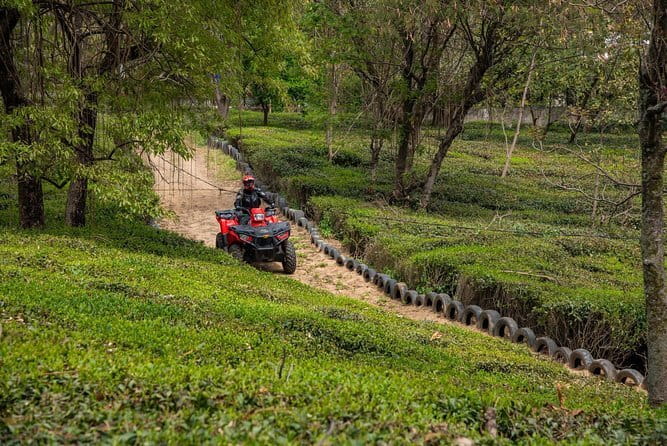 Adventure Activity ATV RIDE 2.25 Kms RZR 570 - Tea gardens, Dhauladhar views, and food you can add on