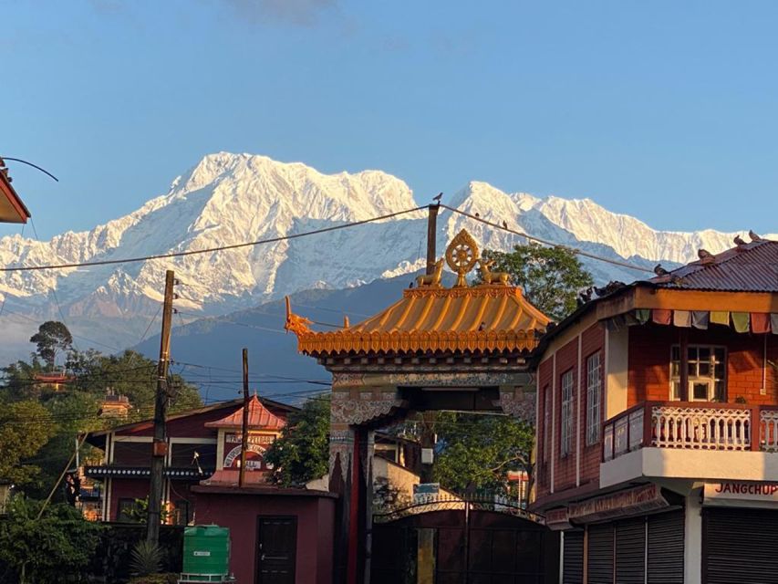 Afternoon Tibetan cultural tour - Tea time at a Tibetan family home: butter tea, tsampa, and real hospitality