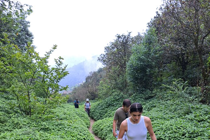 Amazing 1 Day Trekking Experience in Kathmandu Nepal - Lunch from Hot Breads in Thamel: the simple fuel stop