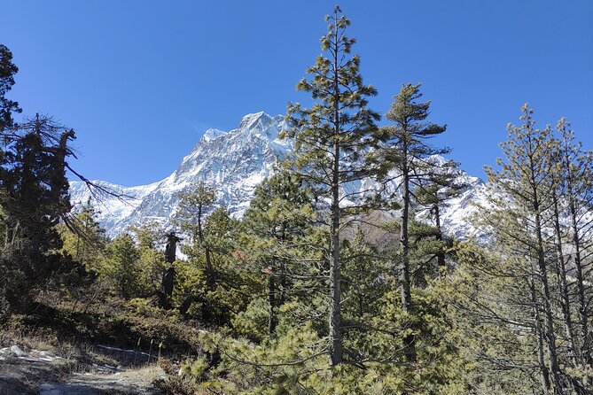 Annapurna Base Camp Trek - 10 Days - Key highlights worth your attention