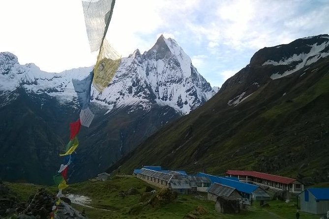Annapurna Base Camp Trek - 11 Days - Why the Annapurna Base Camp route still feels worth the effort