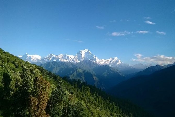 Annapurna Base Camp Trek - 11 Days - Price and logistics: what $986 really covers (and why it matters)