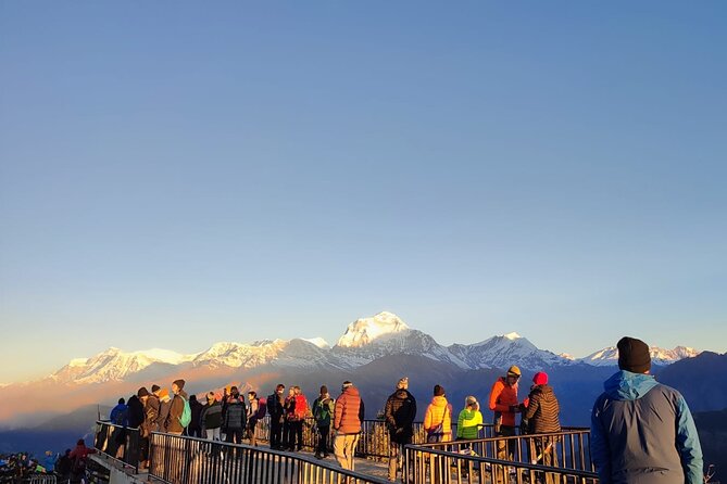 Annapurna Base Camp Trek 12 Days - Day 9: dawn at base camp, then the long return to Sinuwa