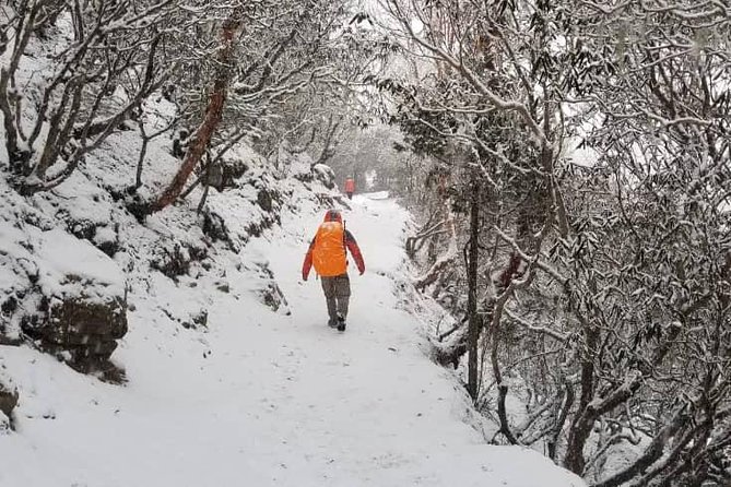 Annapurna base camp trek 5 Days - Tea house rhythm: meals, lodges, and what it means for your comfort