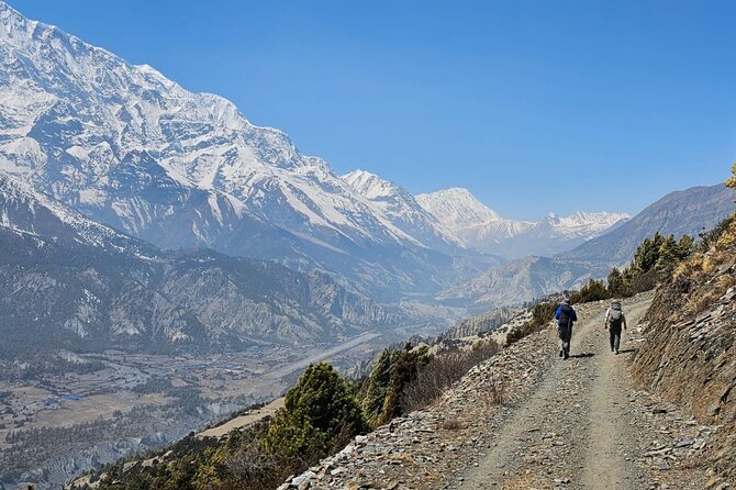 Annapurna Circuit Trek with Tilicho Lake (16 Days) - Siri Kharka and Tilicho Base Camp: the high basin mood begins