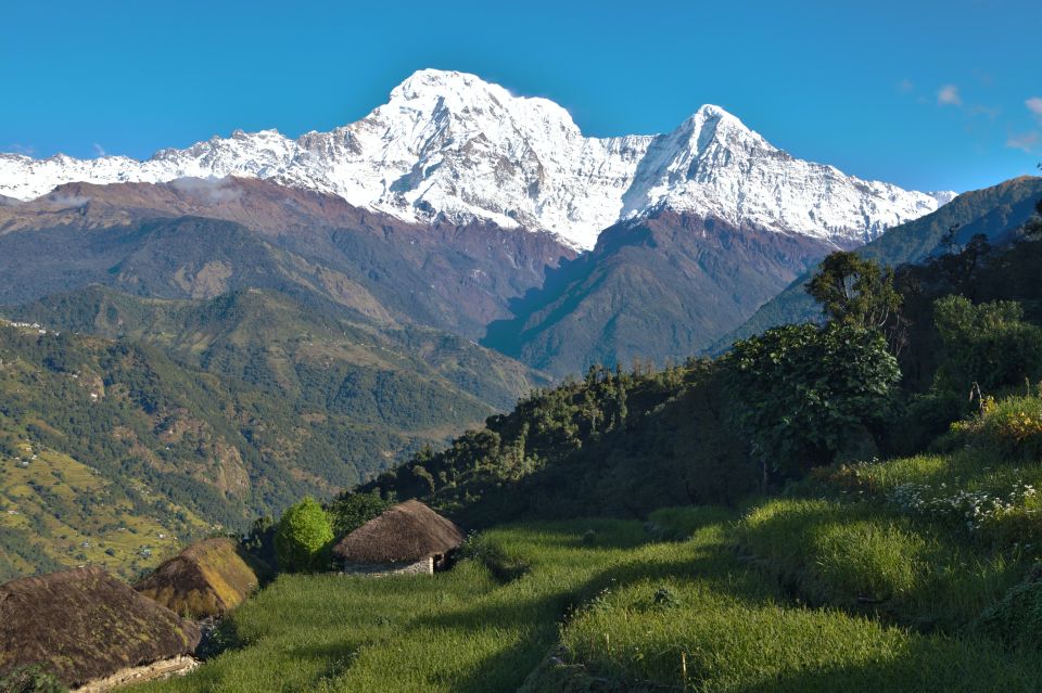 Australian Base Camp Day Hike From Pokhara - How the Australian Base Camp Day Hike from Pokhara Fits Into an 8-Hour Day