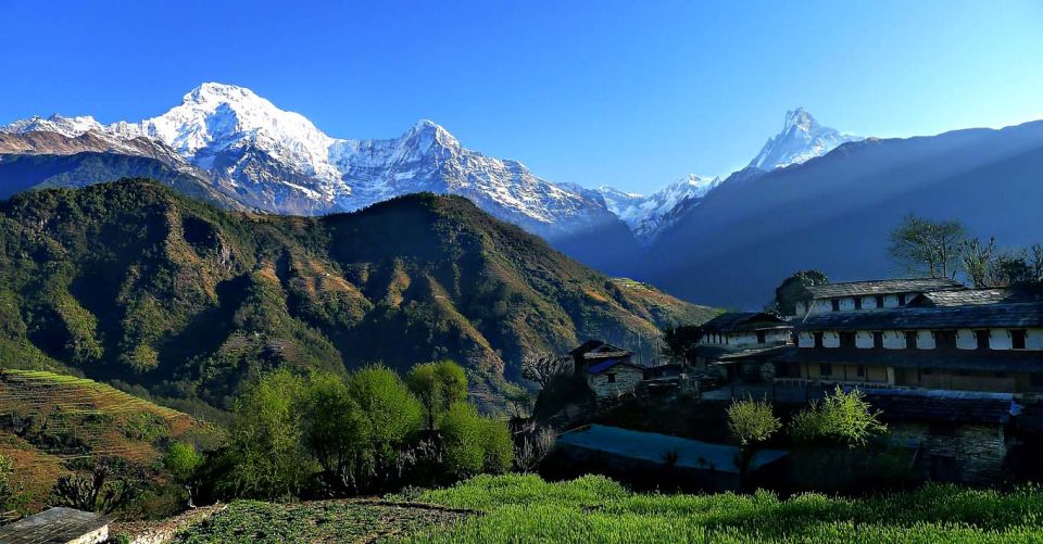Australian Base Camp Day Hike From Pokhara - Dhampus Villages on the Way Down: Walking With Culture, Not Just Views
