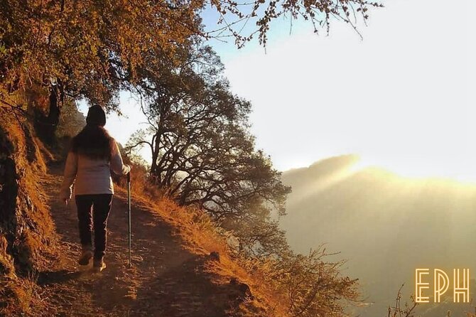 Benog Tibba Day Hike - Mussoorie - The Trail Experience: Tree Cover, Jungle Atmosphere, and View Breaks
