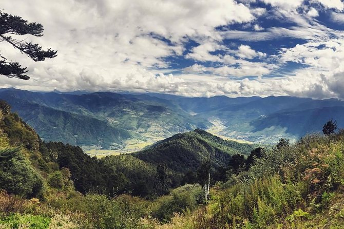 Bhutan Highlights Tour - 2 Nights (Thimphu, Paro & Tiger's Nest) - The private-vehicle setup: how the trip stays easy