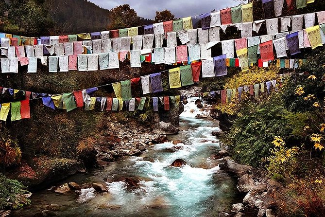 Bhutan Highlights Tour - 2 Nights (Thimphu, Paro & Tiger's Nest) - Meals and lodging: comfort that supports the schedule